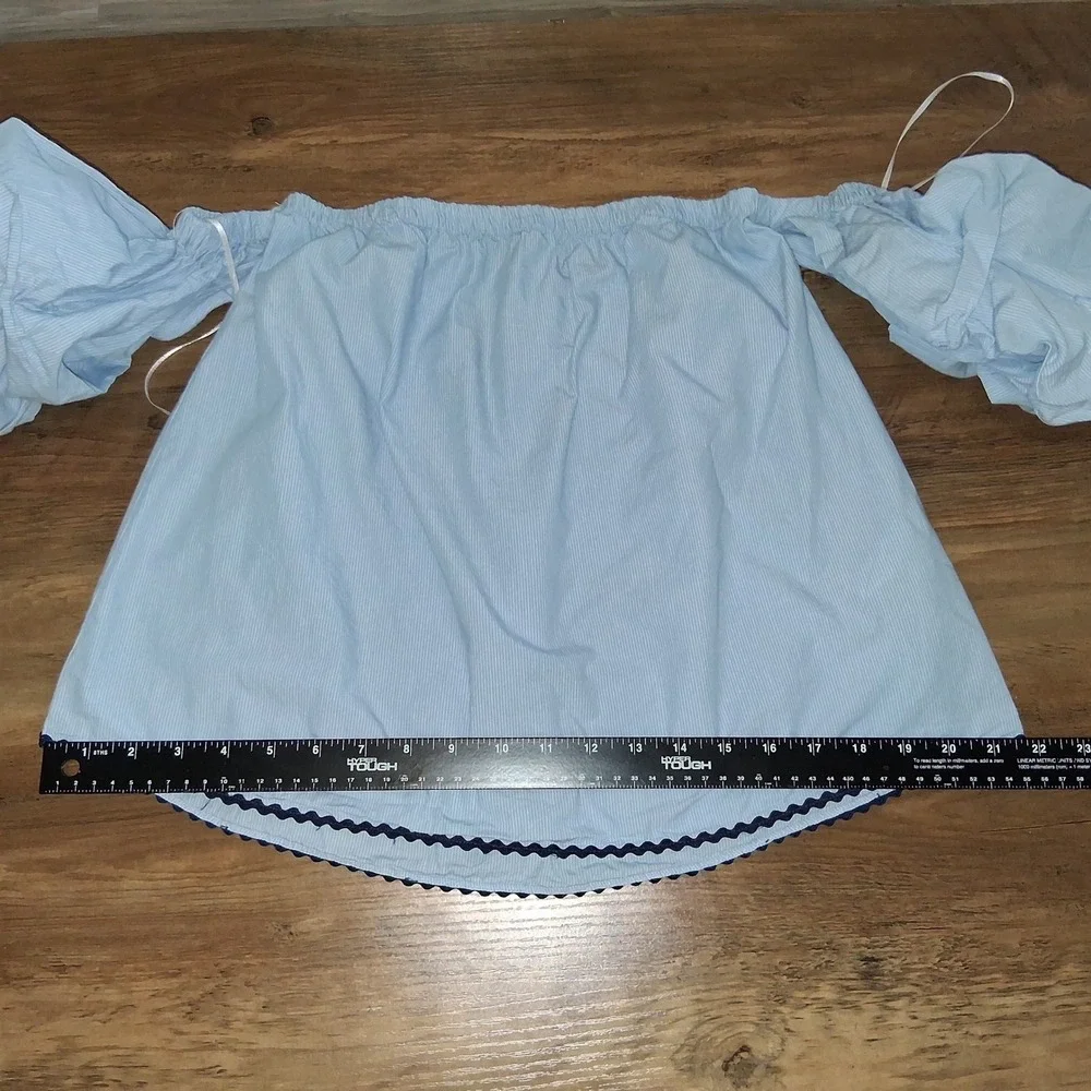 Zara Basic Blue Pinstripe Off Shoulder Embroidered Puff Sleeve Blouse Small